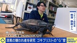 “漆黒の嫌われ者”を研究するゴキブリスト “G”愛と究極の多様性とは