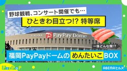 外野席に大きなめんたいこ!? みずほPayPayドーム福岡に設置された“一風変わった”特等席とは？