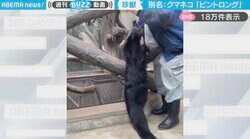「なんだ、こいつ！可愛い」飼育員にしがみつく“黒くて大きな珍獣”が、SNSで話題！「1回生で会ってみたい…」「想像よりずっと大きかった！！」