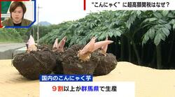 “トランプ関税”自動車に25%も…日本のこんにゃく芋は40%  超高額のワケは“選挙”？