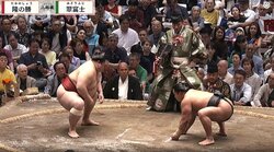 「めっちゃ美人さん」「オーラすごい」大相撲、溜まり席に着物姿の著名人「お口あんぐりしてる」ファン歓喜