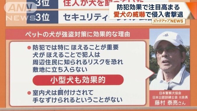 犬が強盗対策に効果的な理由