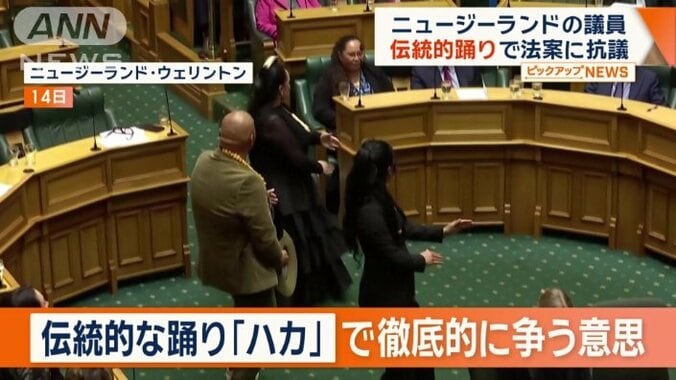 「マオリ党」の議員らが抗議