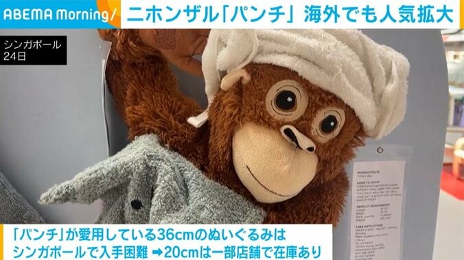 「パンチ」が愛用しているぬいぐるみ