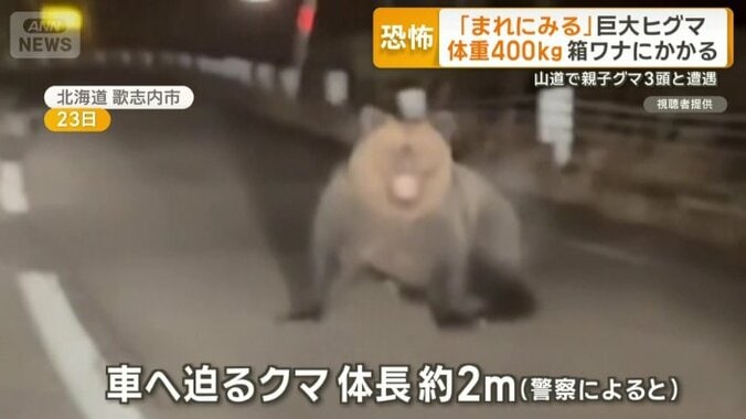 勢いよく車の方へと迫ってくる体長約2mのクマ