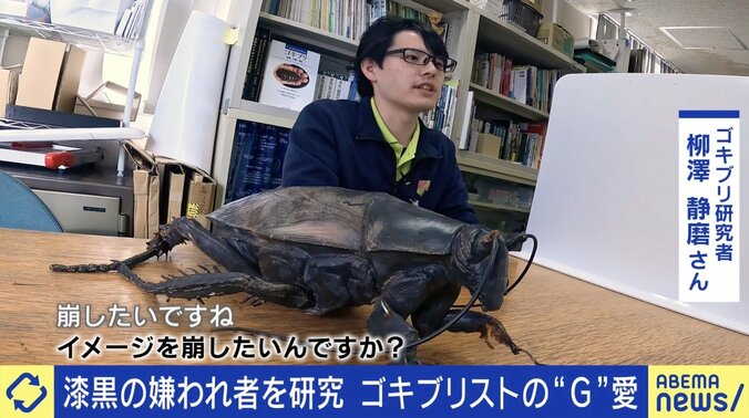  “G”愛と究極の多様性とは