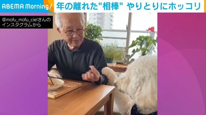 食事中に寄り添い見つめる犬 おじいちゃんが可愛さに負けおすそ分け このやりとりに飼い主「他の家族だとすぐ諦める」 1枚目