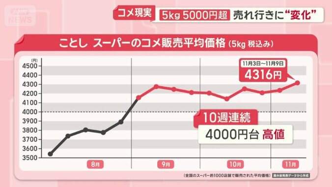 スーパー　コメ販売平均価格