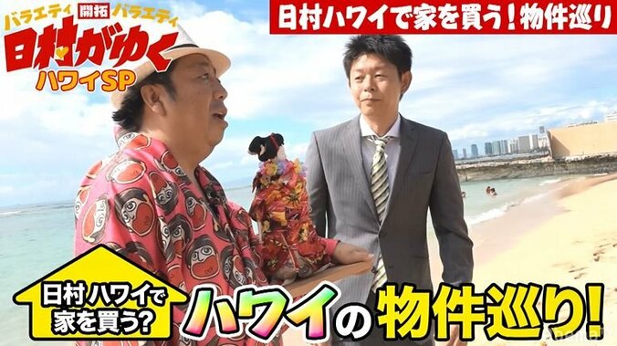 バナナマン日村、ハワイの物件巡りで7億円超えの高級物件に興味津々「めちゃめちゃお得」 2枚目