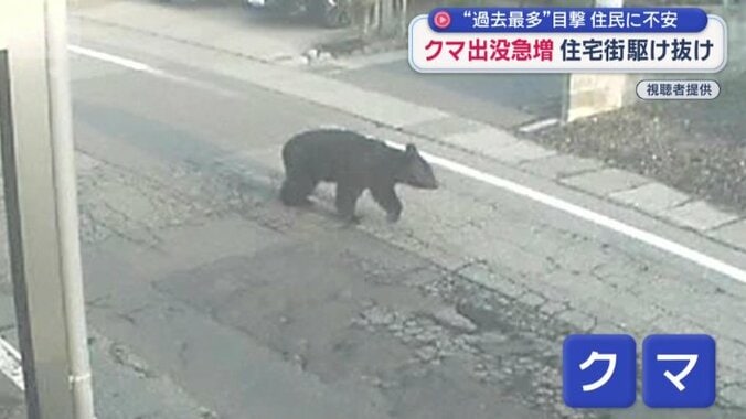 防犯カメラに映っていたのは…