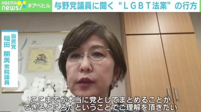 “LGBT法案”への「差別禁止」明示めぐり議論、与野党議員に聞く 「『差別は許されない』という言葉だけでは救済されない」当事者の現状 3枚目