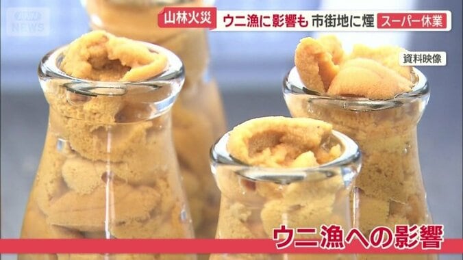 来週から始まる…