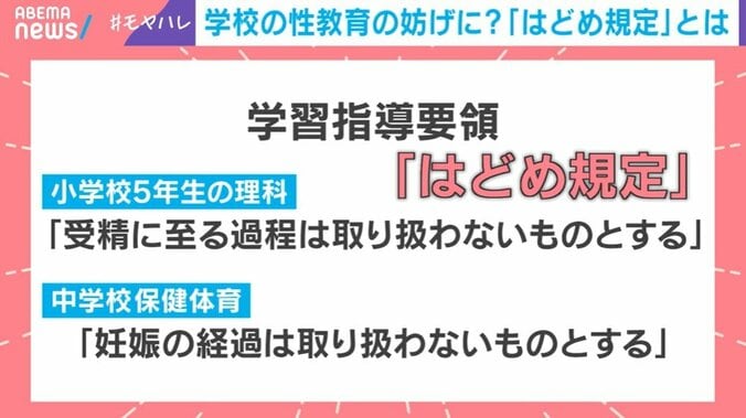 「はどめ規定」