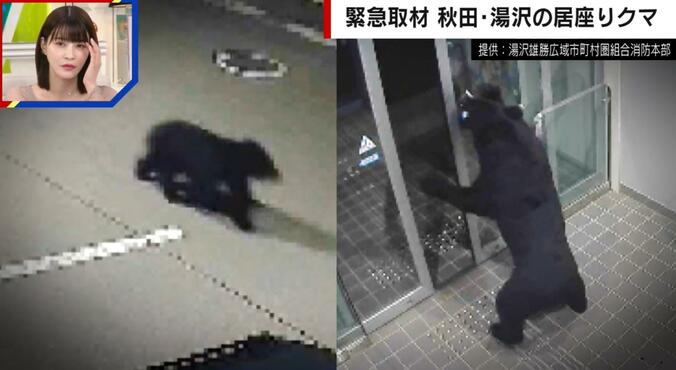 クマが自動ドアを開けて侵入する様子