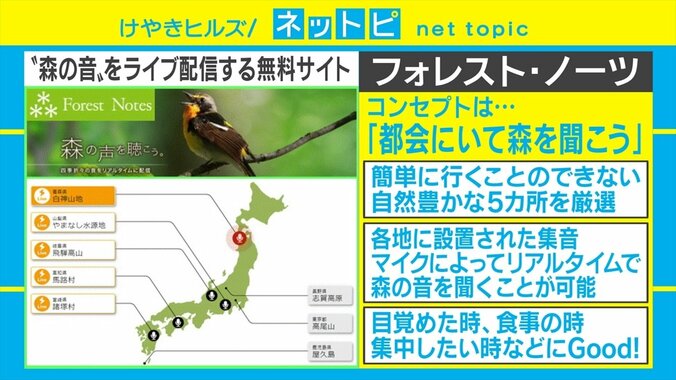 「後輩に『何聴いてんの？』と聞いたら『雨の岐阜県です』と言われて」環境音についてのTwitterの投稿が話題 2枚目