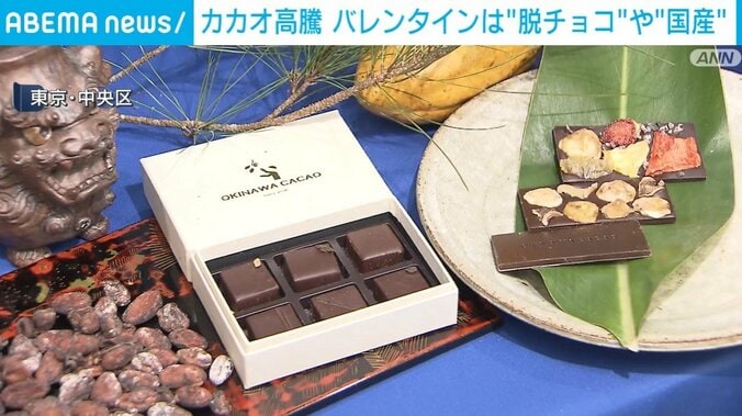 沖縄県産のカカオを使ったチョコレート