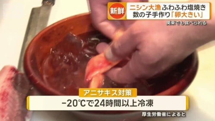 アニサキス対策