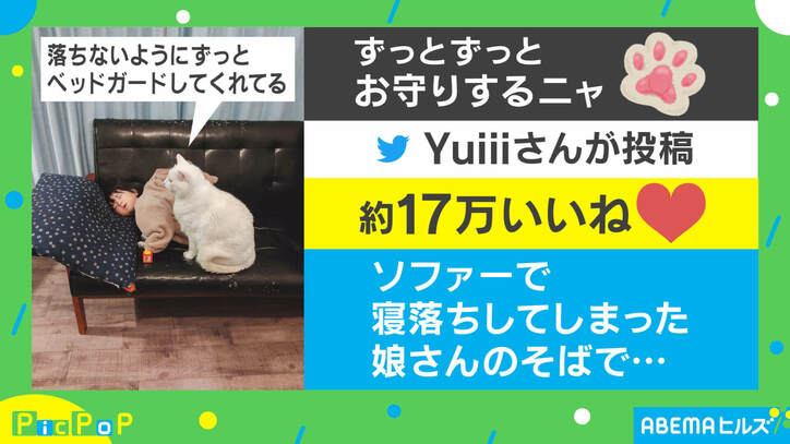 「ベッドガードは任せてニャ」娘を守る猫の姿にほっこり! 投稿主「普段からベビーシッターのよう」