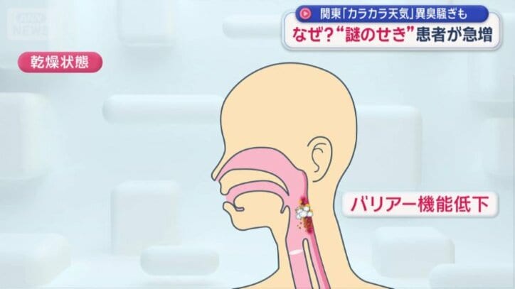 のどのバリア機能が低下