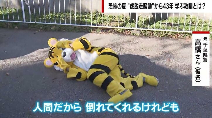 “虎脱走騒動”で小さな集落が大混乱 あれから43年…関係者証言に学ぶ教訓