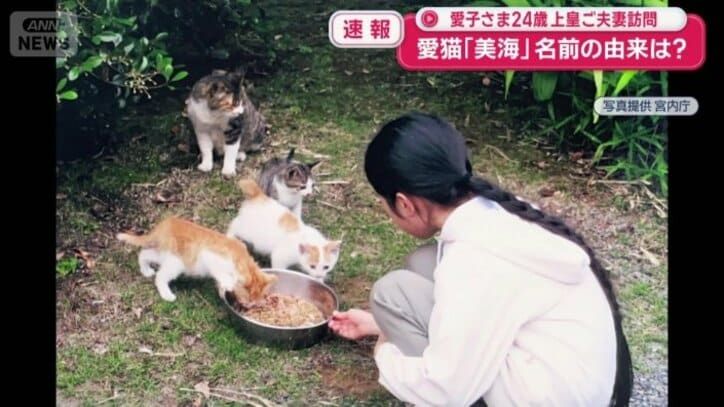 愛子さまの部屋に遊びに来ていた三毛猫