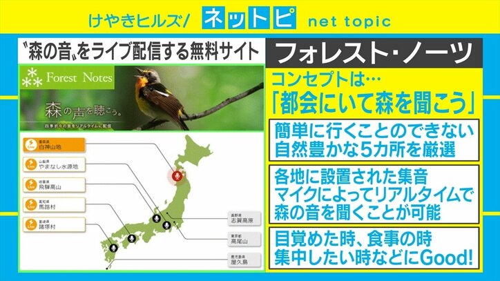 「後輩に『何聴いてんの？』と聞いたら『雨の岐阜県です』と言われて」環境音についてのTwitterの投稿が話題