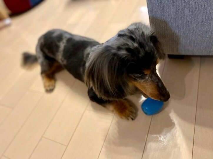 八田亜矢子、外出中に起きたハプニングに顔面蒼白「注意力が散漫に」