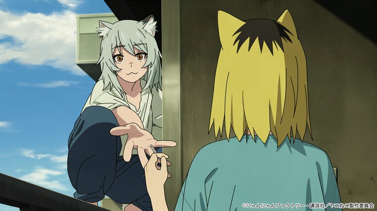 おでこを我慢した結果ペタンコに!?『ヤニねこ』×“おでこフェチ”山本崇一朗氏のイラストにツッコミ殺到