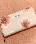 上原さくら『COACH』で購入した財布「思わず可愛い~ と声を上げてしまった」