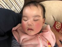 たんぽぽ白鳥久美子『大晦日』