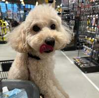 ダイアン津田嫁『病気』