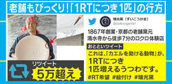 「1RTにつき1匹」カエルを助けるためにRTが殺到 大反響の京都老舗窯元を直撃