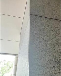 眼帯秘書・礼香の不気味な動画にマサ困惑『Ｍ　愛すべき人がいて』