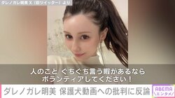 ダレノガレ明美、保護犬と触れ合う動画に寄せられた批判に怒り「人のことぐちぐち言う暇があるならボランティアしてください！」