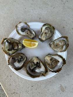 高橋真麻、“大好物だったもの”が食べられなくなった理由を告白「一人で1回に何十個も食べていたら…」 