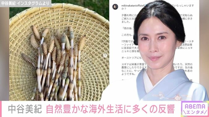 中谷美紀 Instagramより