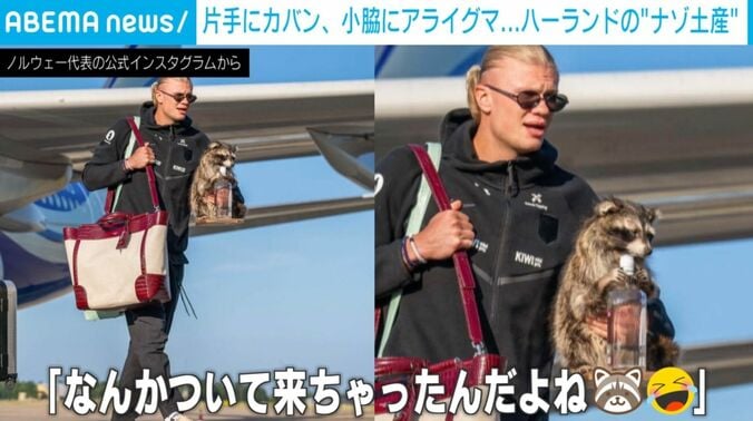 ハーランド