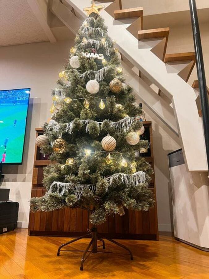  堀ちえみ、新居に合わせて買い替えたクリスマスツリー「きれいに飾りつけてくれました」  1枚目