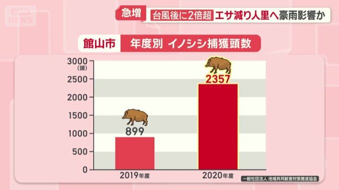 館山市の年度別　イノシシ捕獲頭数