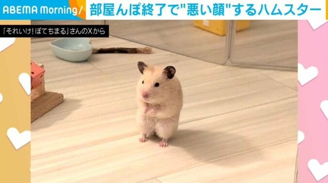 ぽてちまるくん