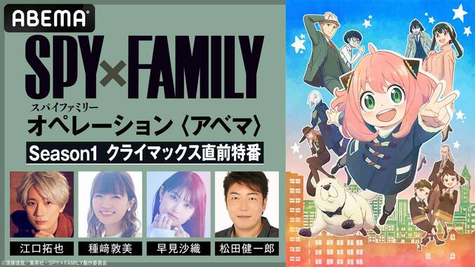 『SPY×FAMILY』クライマックス直前特番が決定　江口拓也、種崎敦美、早見沙織、松田健一郎ら”フォージャー家”集結 1枚目