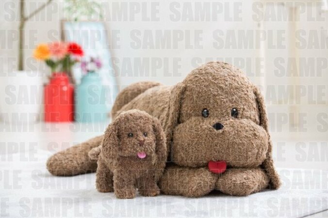 ふわもこに癒される！ TVアニメ『ユーリ!!! on ICE』ヴィクトルの愛犬「マッカチン」等身大ぬいぐるみ登場　勝生勇利の愛犬「ヴィっちゃん」も同時発売 3枚目