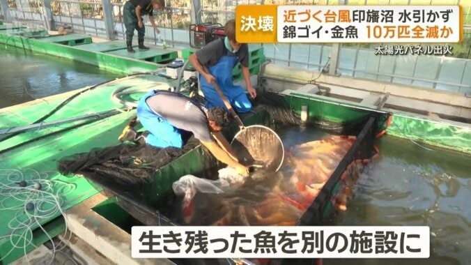 谷養魚場