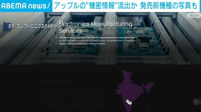 タタ・エレクトロニクスのHP