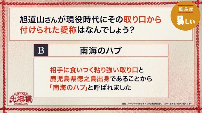 5日目
