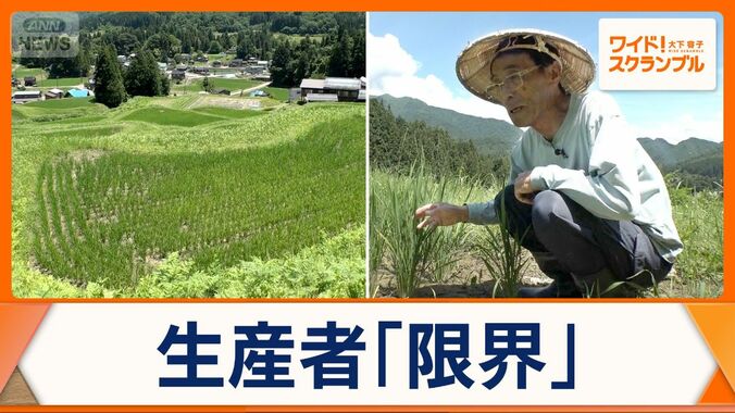「完全に心が折れました」日本百選・北五百川の棚田　400年の歴史に幕　生産者の想い 1枚目