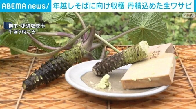 栃木・那須塩原市