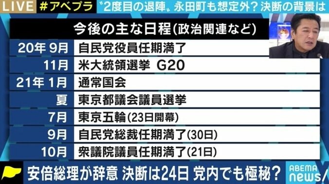 「安倍さんは後継者を絞りきれてはいないのでは」「秋の解散総選挙も睨んだ総裁選になる」辞任会見、“ポスト安倍”争いをどう見る？ 6枚目