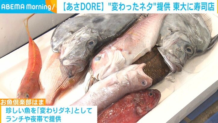 東大に“変わったネタ”提供の寿司店 700種もの魚を扱った大将に聞く人気の秘密