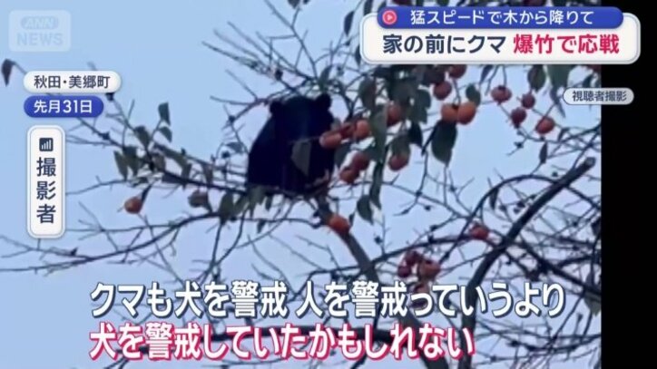 男性の飼い犬とクマのにらみ合いが…